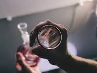 Different Sorts of Bongs