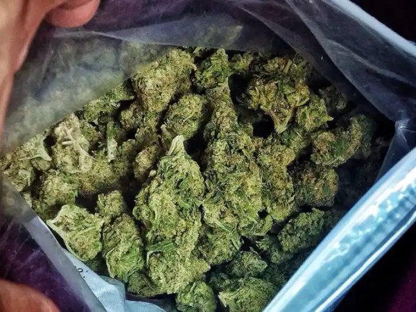 Is Getting Weed Legal In New York City?