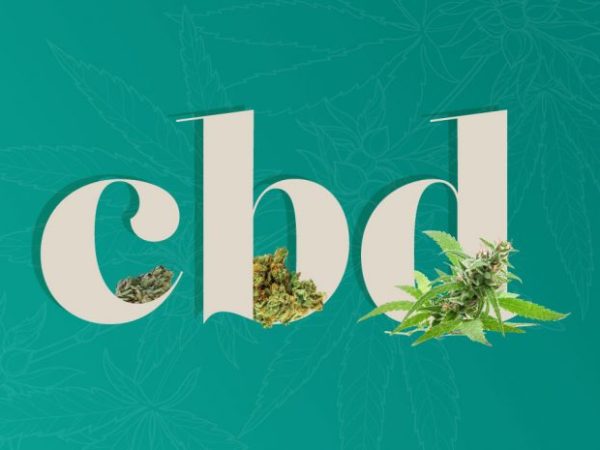 Everything You Need to Know About the CBD